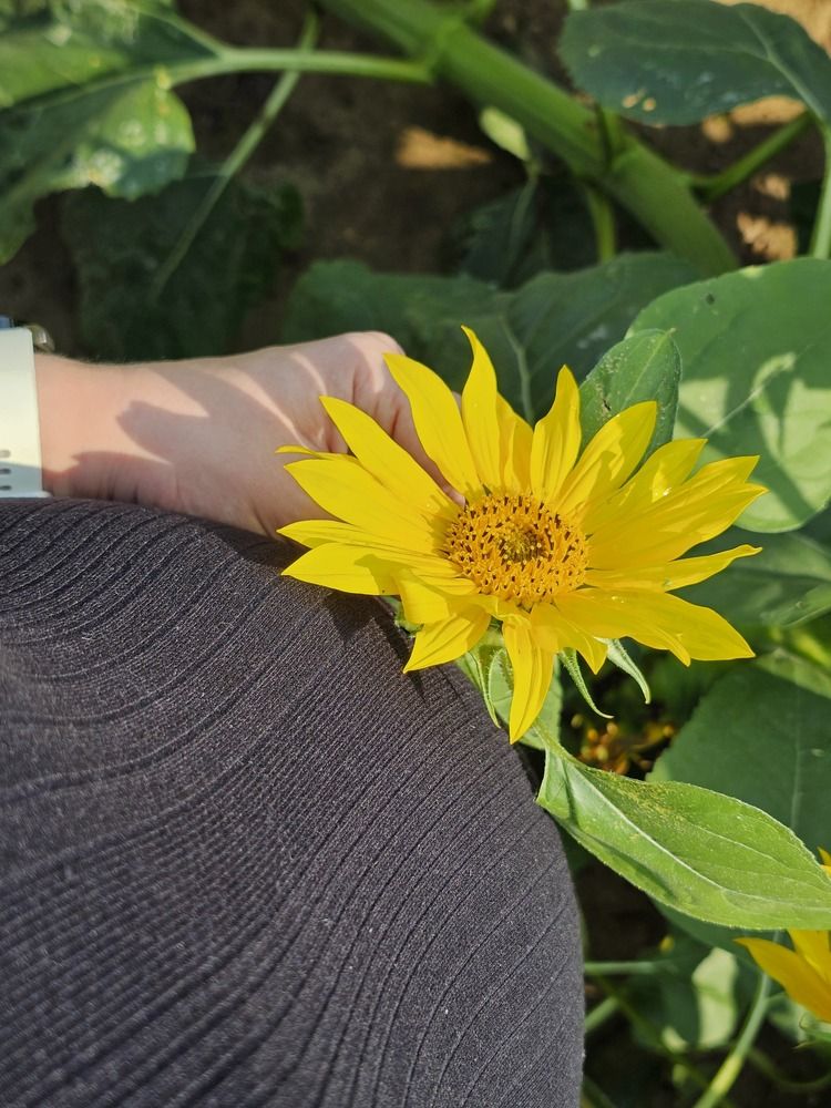 Photograph by Елена Ямнюк