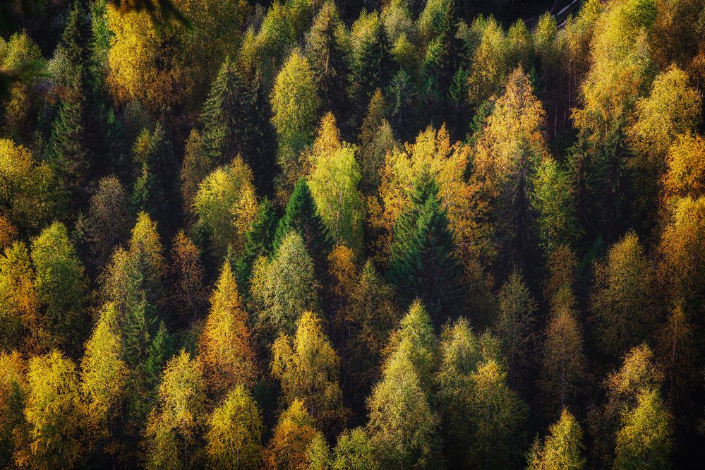 Photograph by Елена Титенская