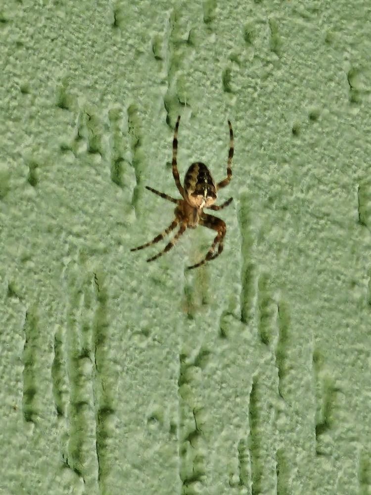 Photograph by Елена Ямнюк