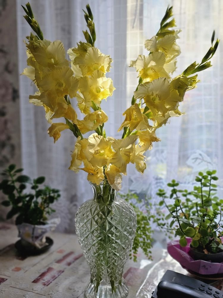 Photograph by Елена Ямнюк