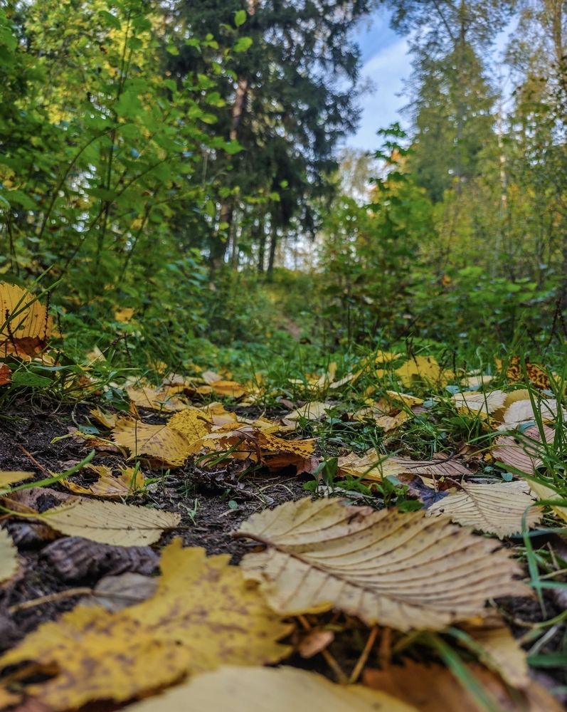 Photograph by Марина Бедрина