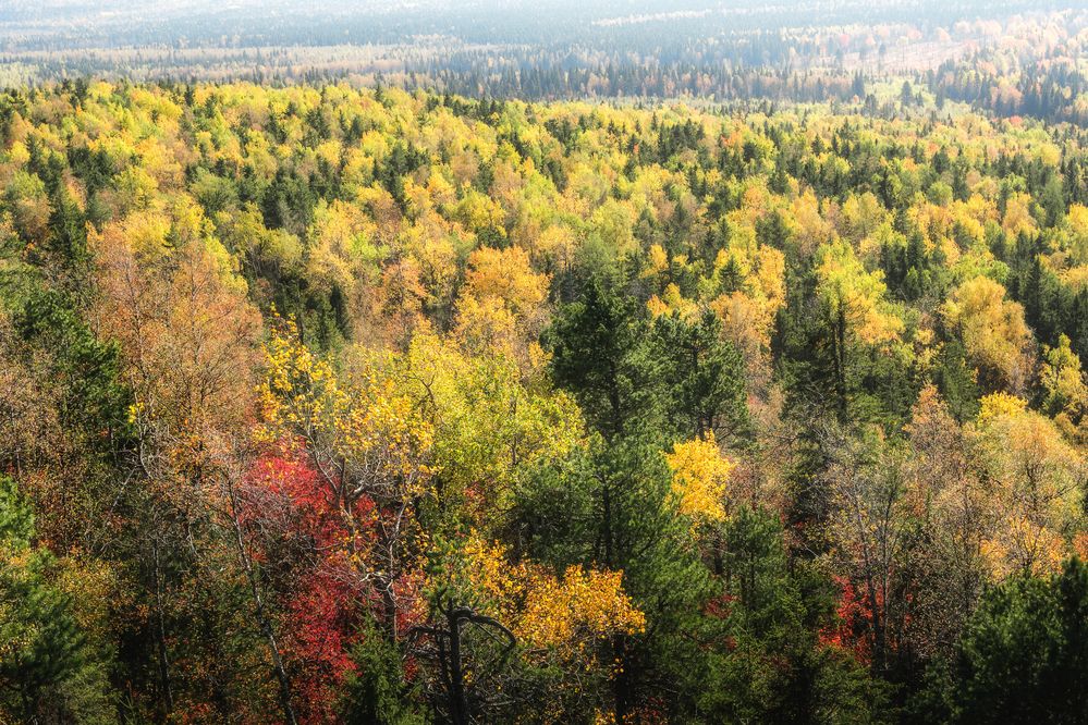 Photograph by Соколова Елена