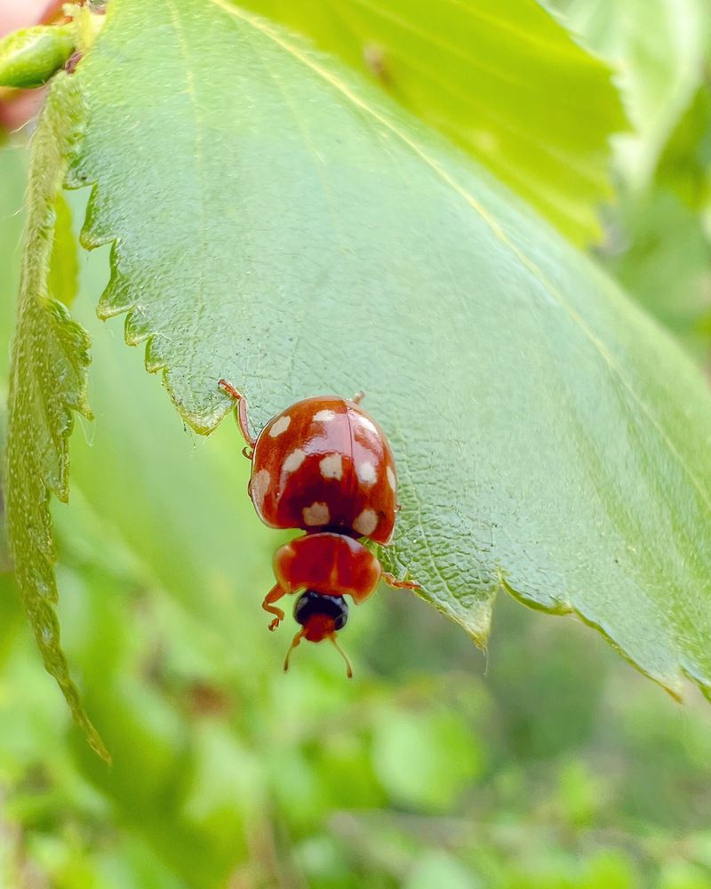 Photograph by Татьяна Волохова