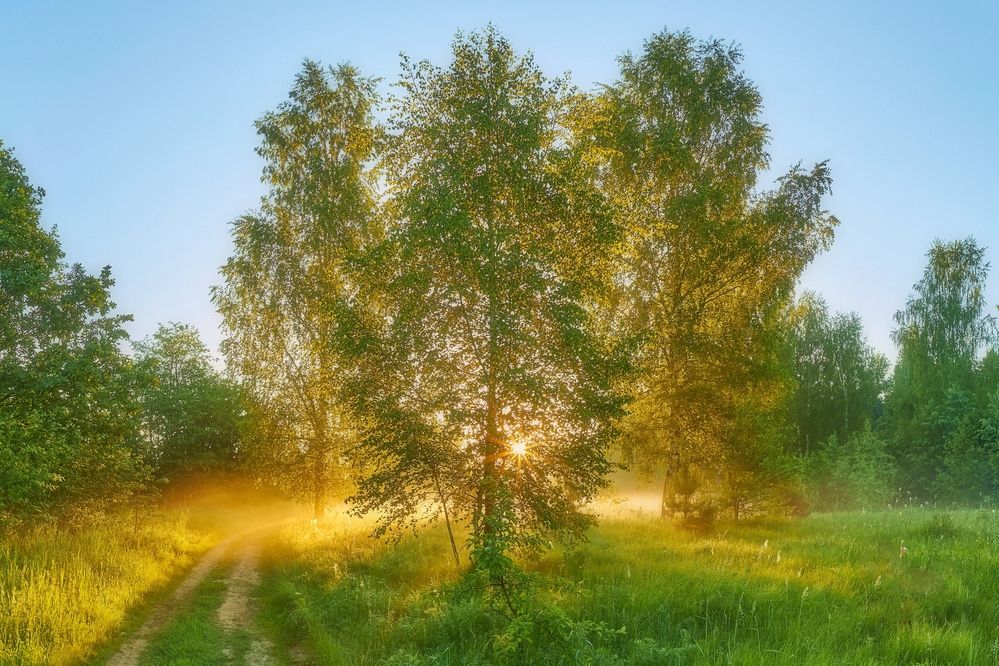 Photograph by Юрий Спасенников