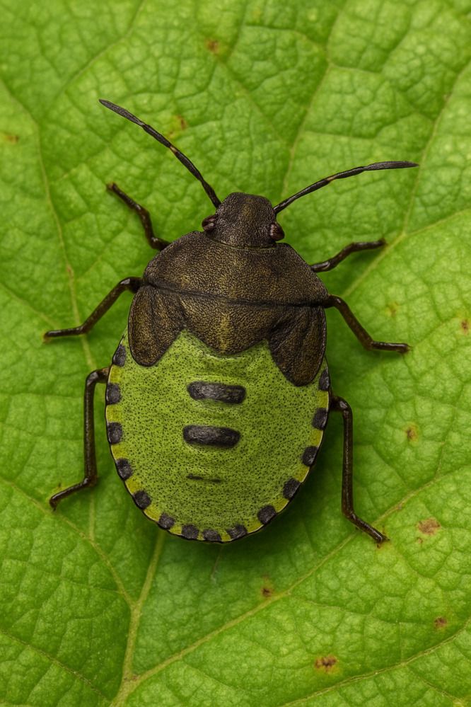 Photograph by Елена Михалева