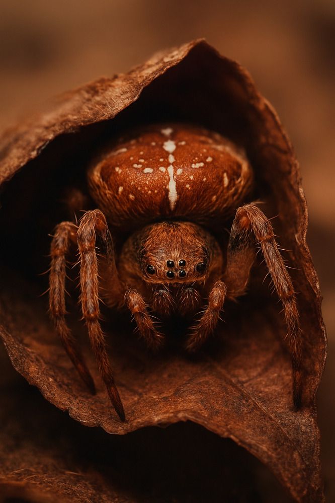 Photograph by Елена Михалева