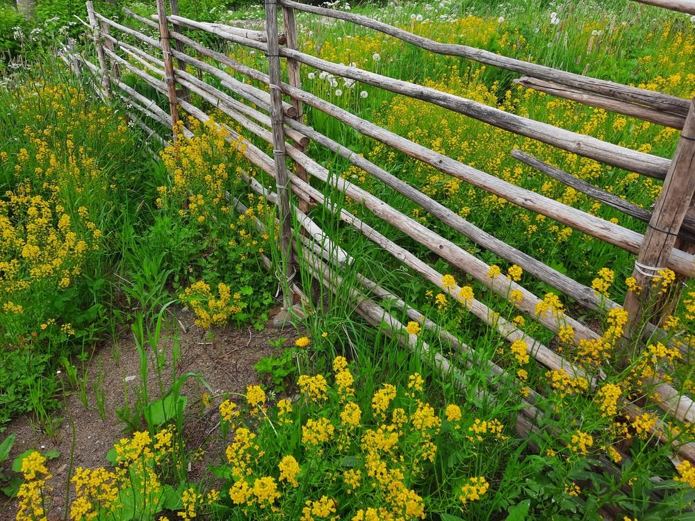 Photograph by Екатерина Казарцева