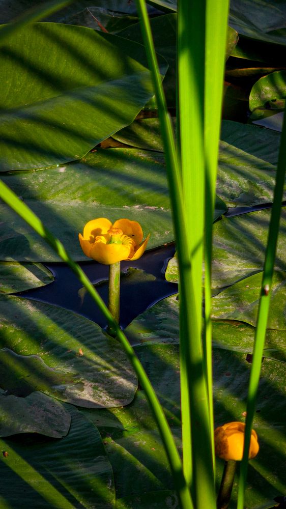 Фотография автора Руслан Токмагамбетов