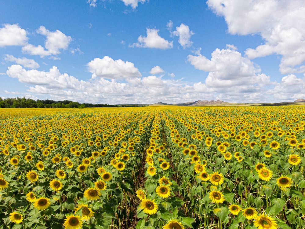 Фотография автора Руслан Токмагамбетов