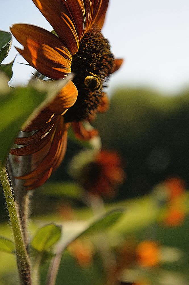 Photograph by Ирина