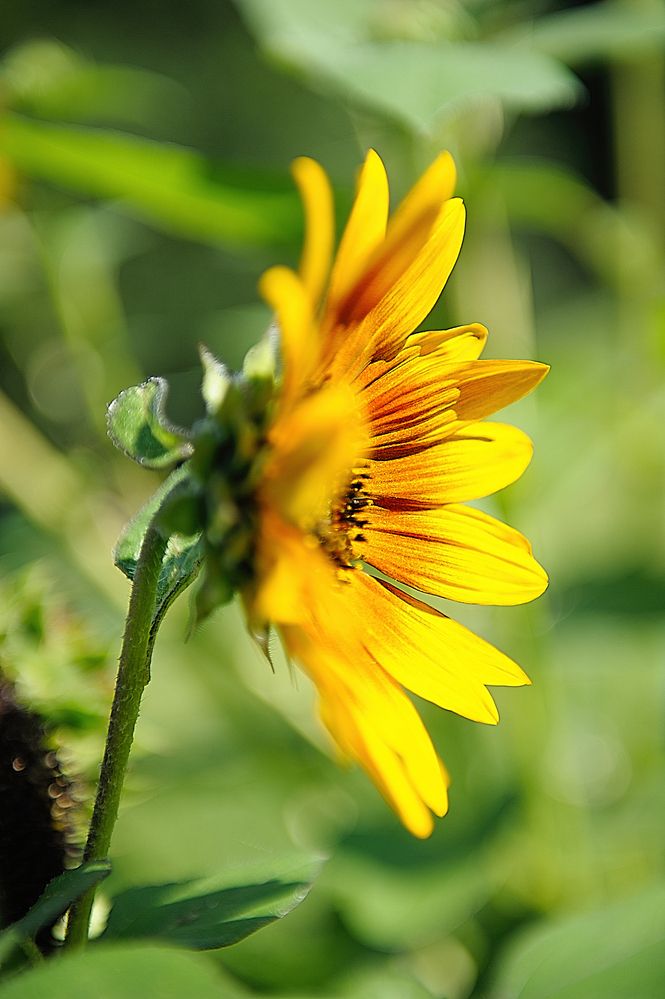 Photograph by Ирина