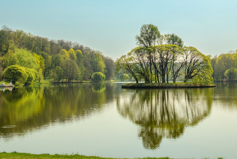 Фотография автора Наталья Липовская