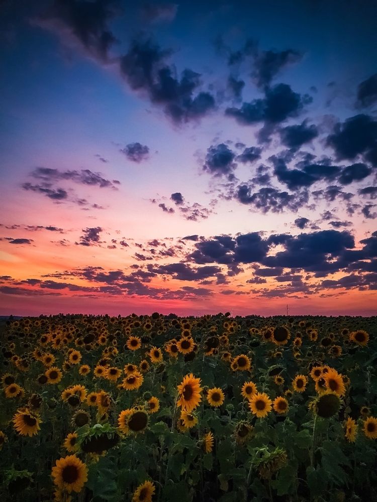 Photograph by Angelina Bukina