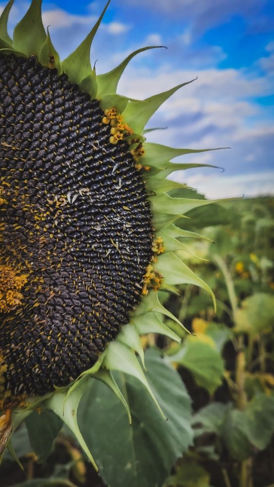 Photograph by Angelina Bukina