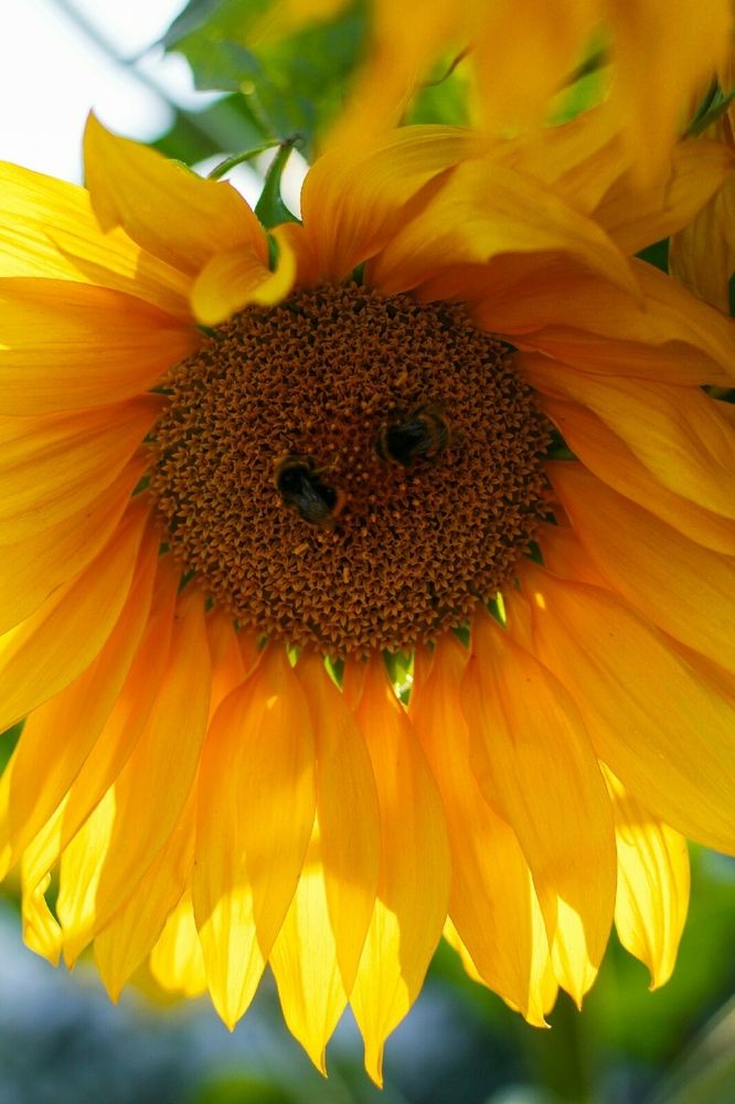 Photograph by Анна Зайченко