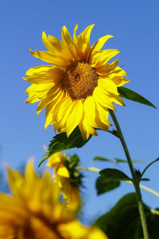 Photograph by Анна Зайченко