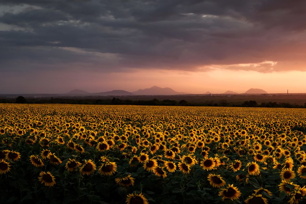 Фотография автора Zakharov Armen