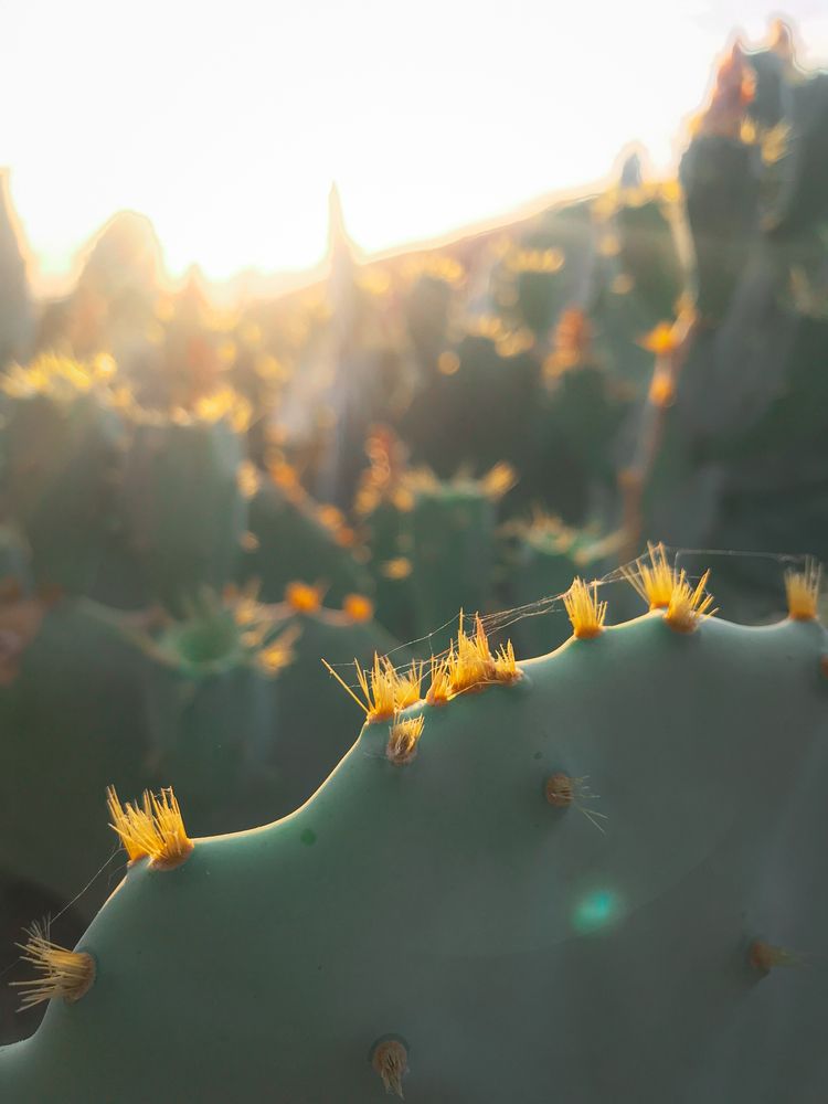 Photograph by Mahdi Rezaei