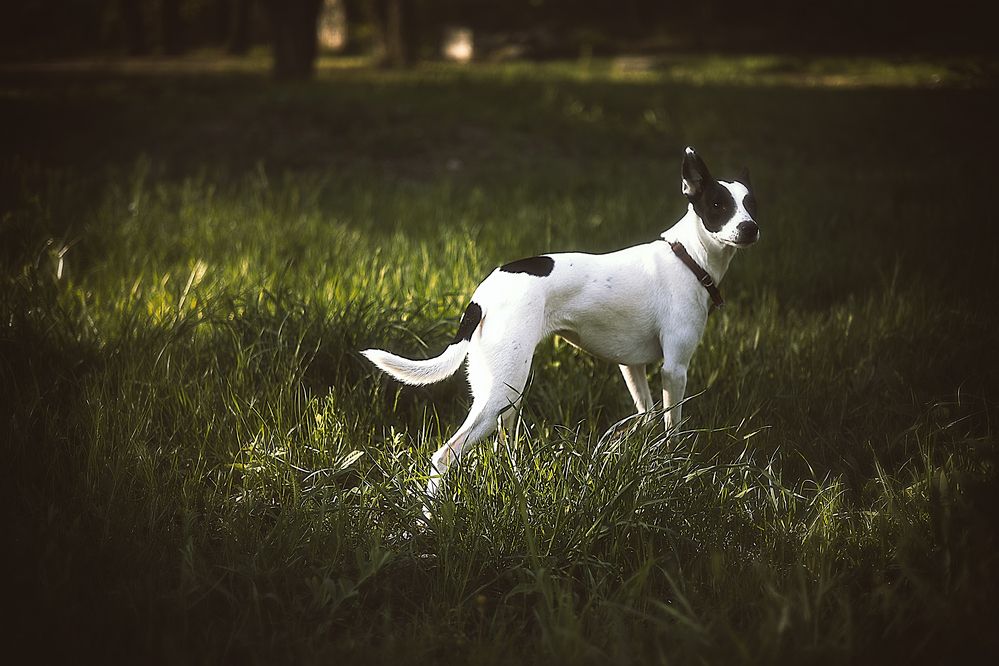 Photograph by Ирина