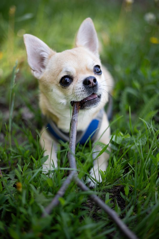 Photograph by Ирина