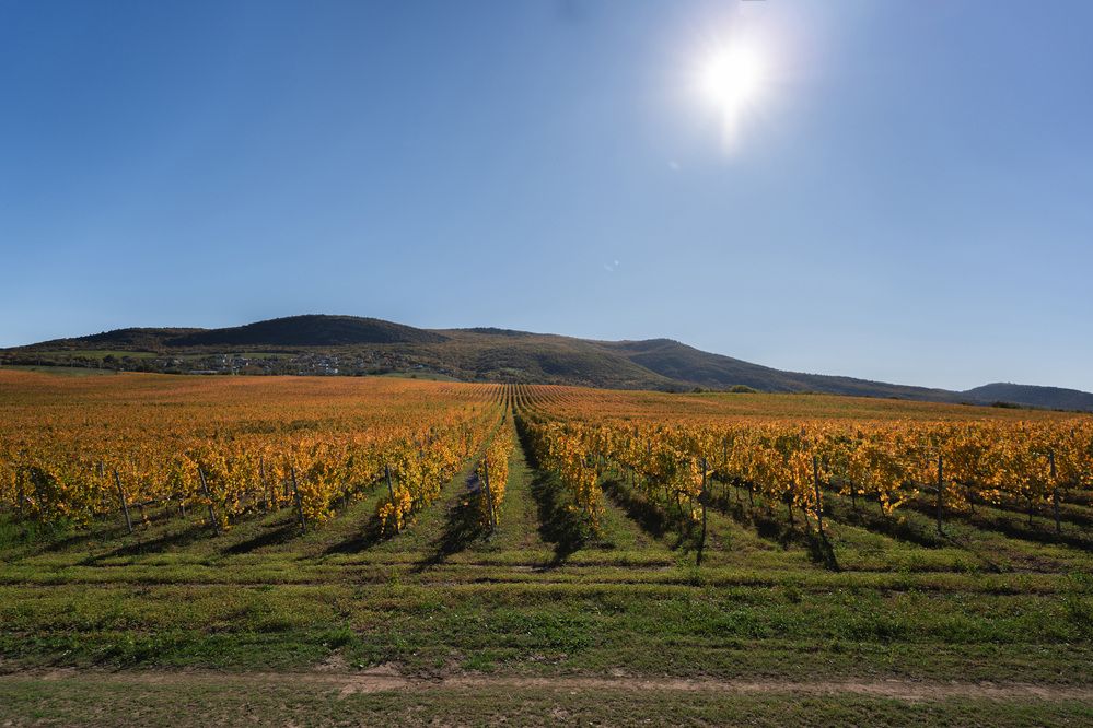 Photograph by Артём Гуцалюк