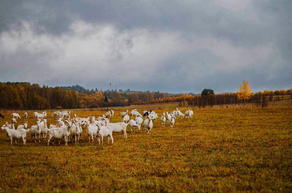 Photograph by Светлана Гаврикова