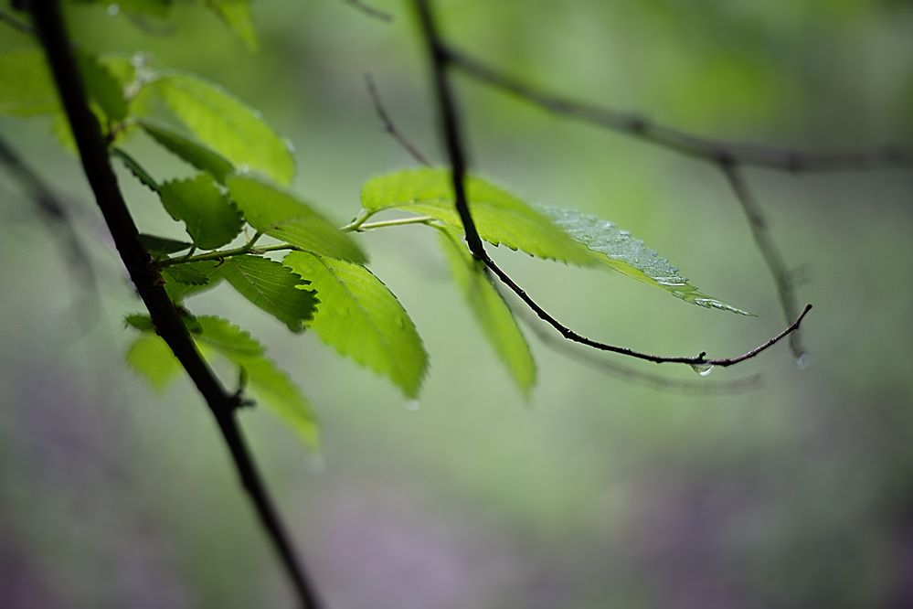 Photograph by Ирина