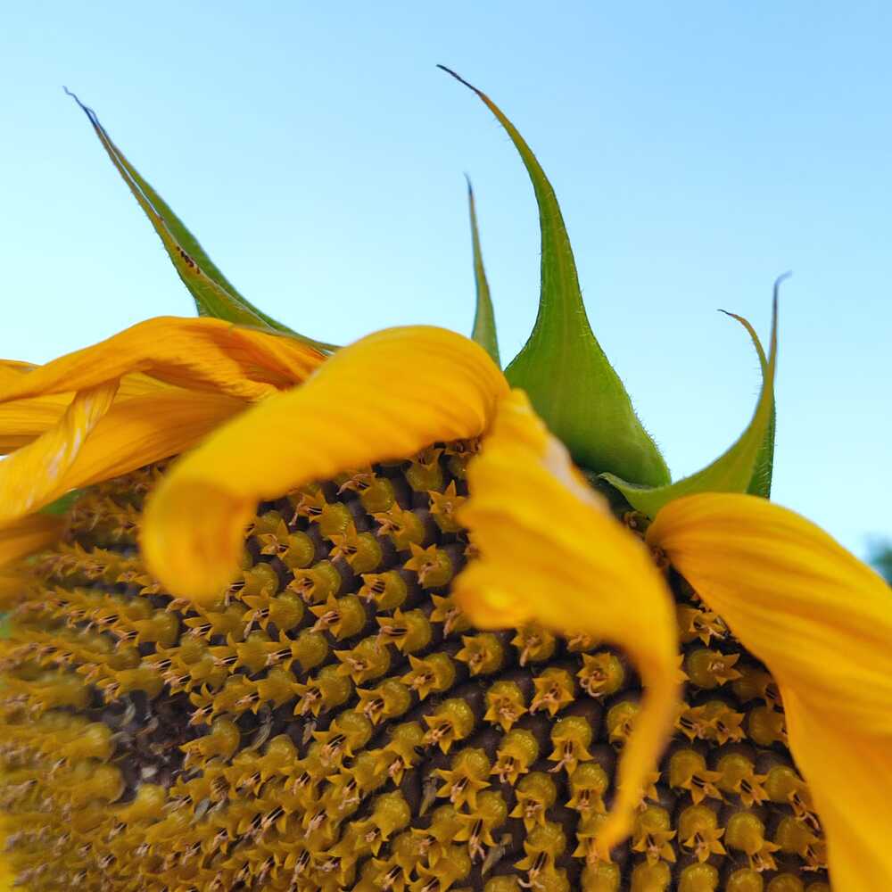 Photograph by Евгения