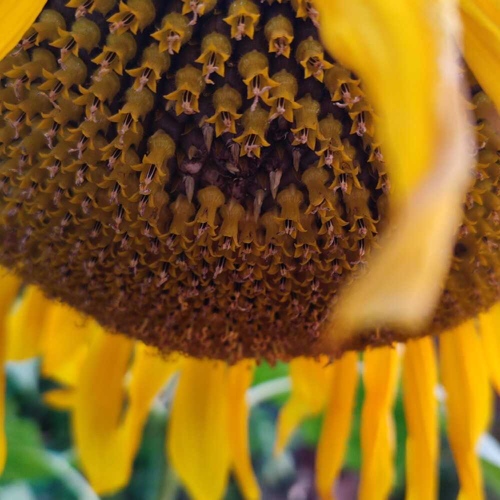 Photograph by Евгения