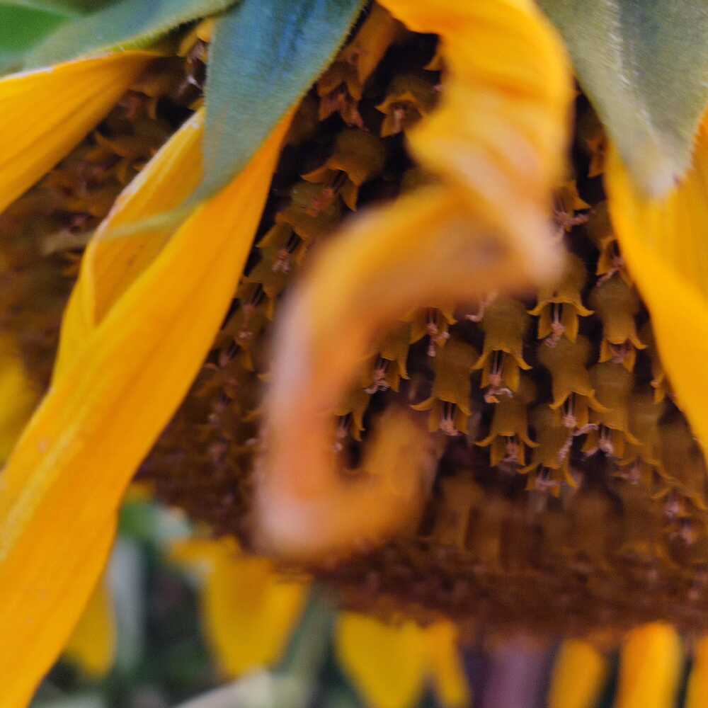 Photograph by Евгения