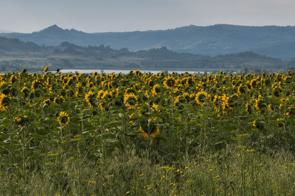 Photograph by Ирина Яук