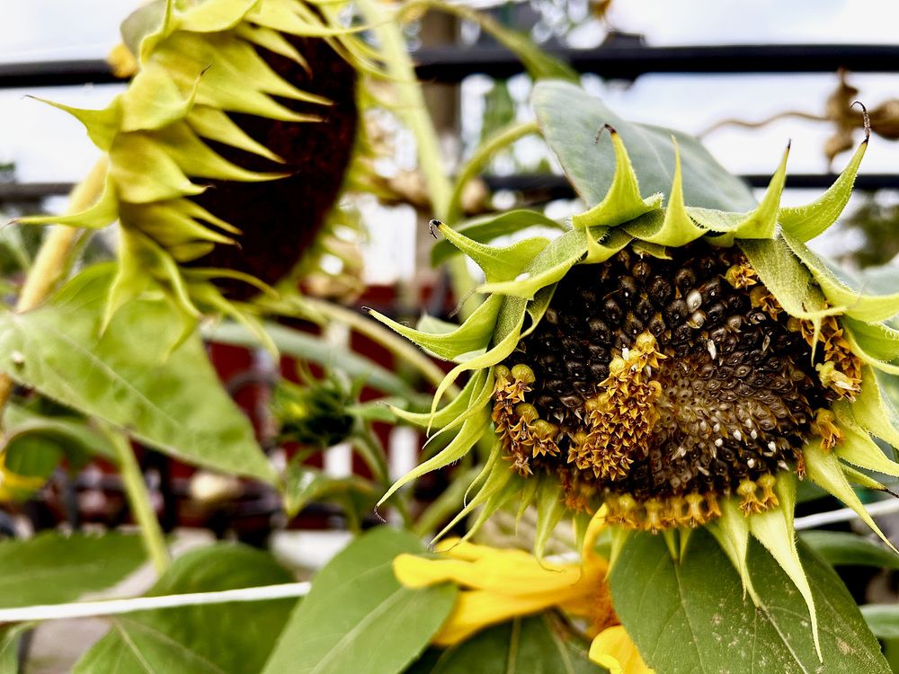 Photograph by Olga Smirnova