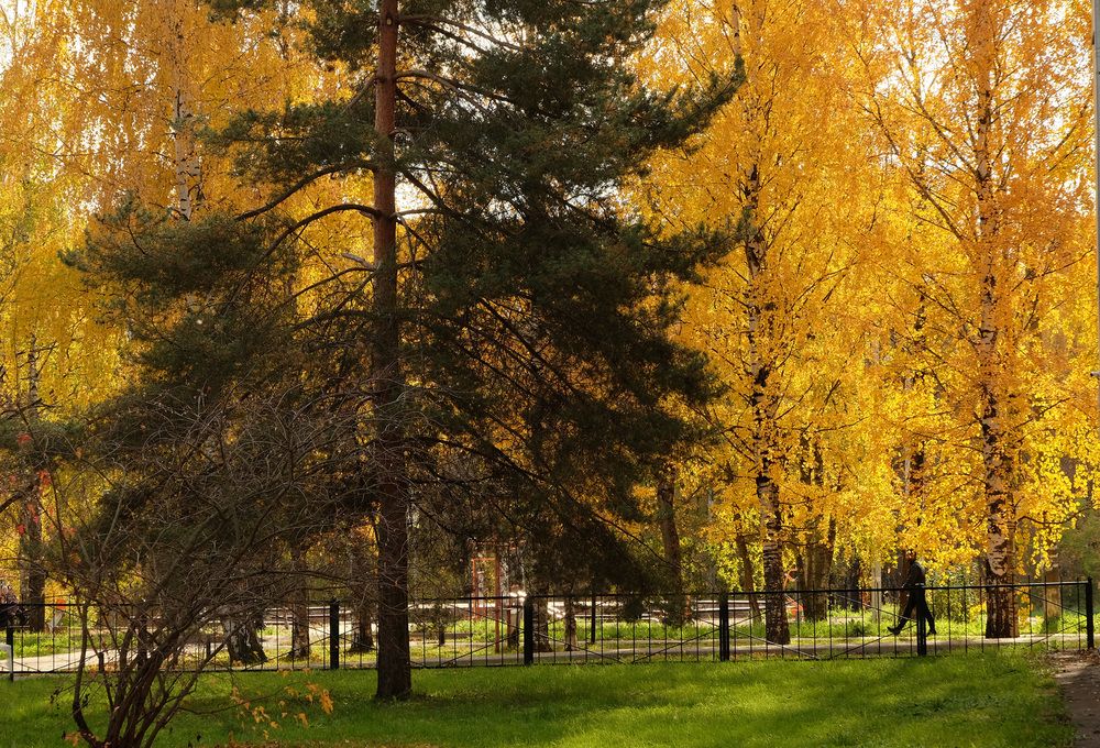 Фотография автора Наталья Липовская