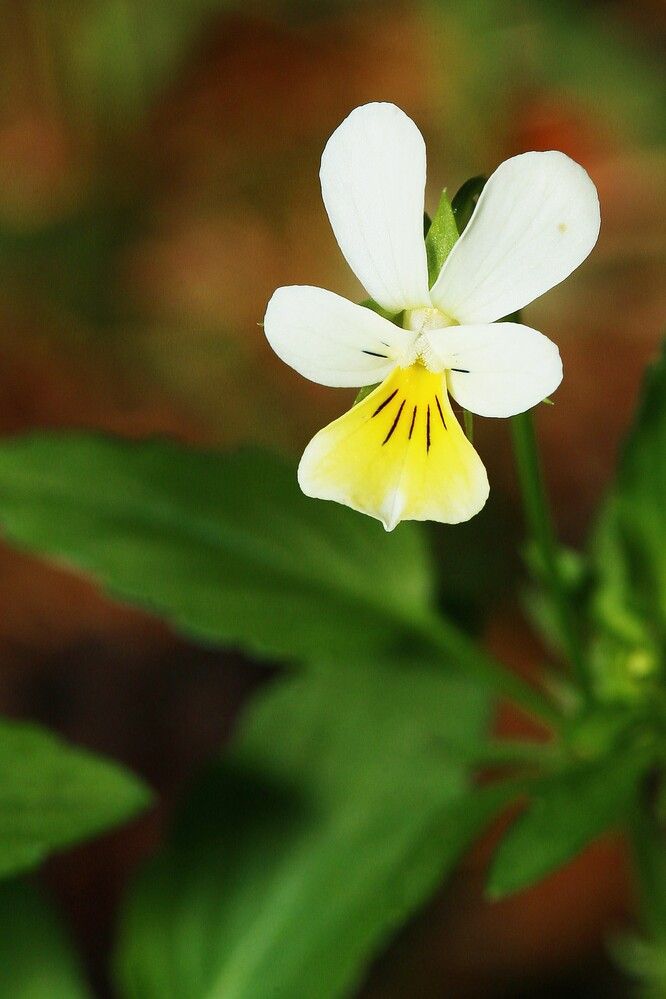 Фотография автора Геннадий Титов