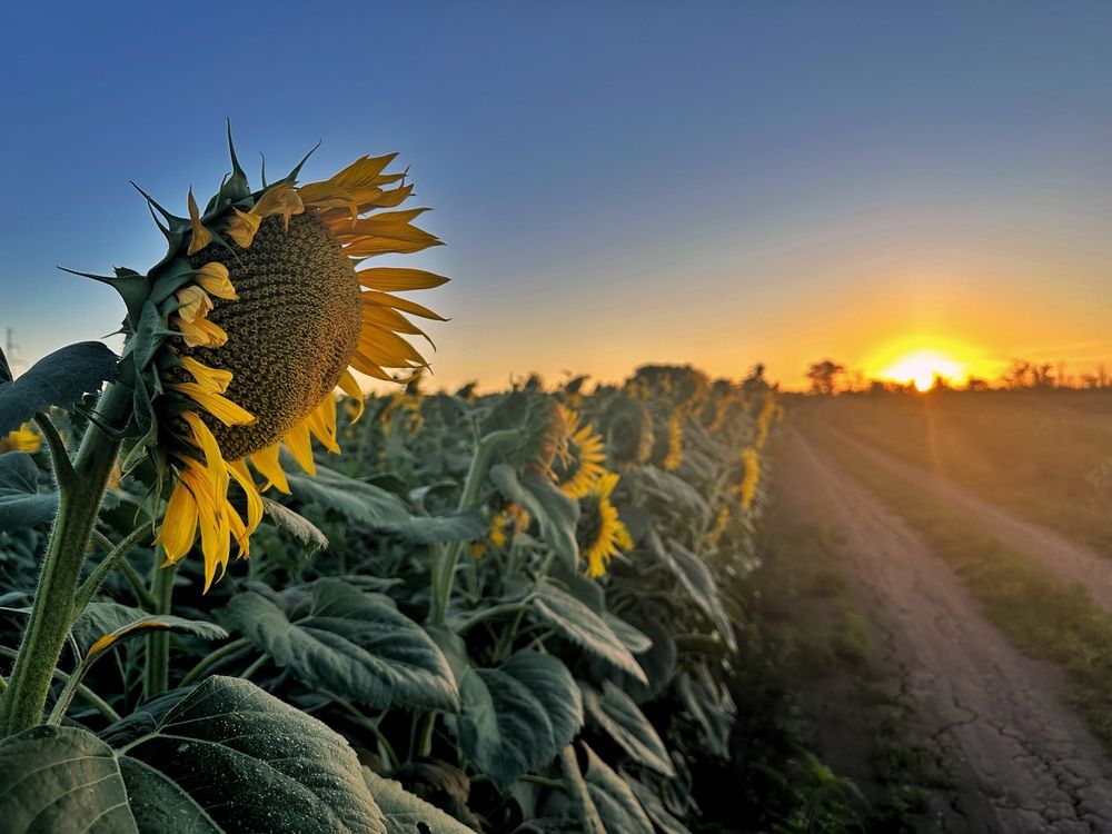 Photograph by Алексей Поляков