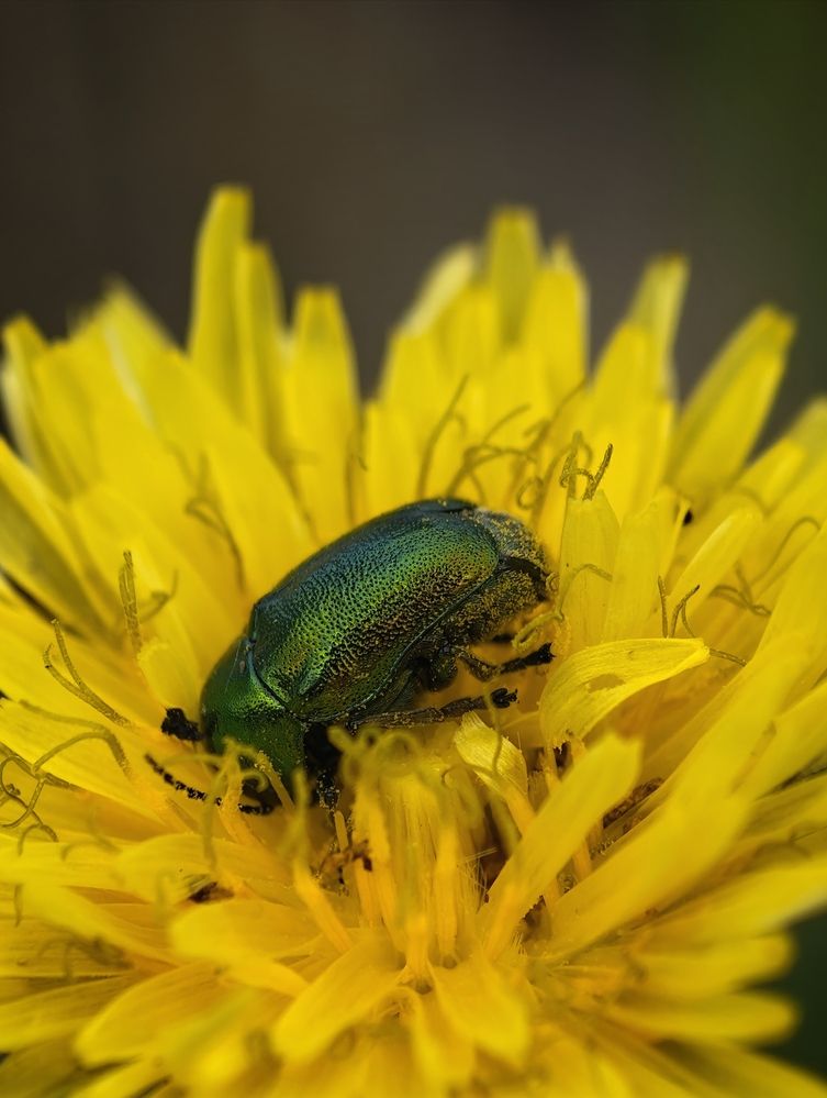 Photograph by Михаил Саидов