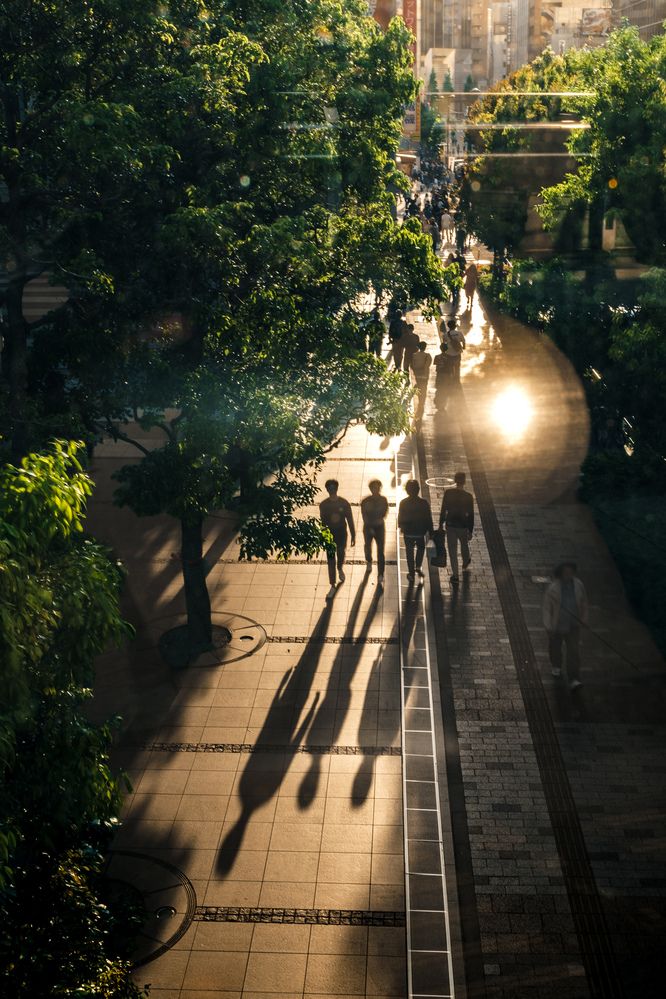 Фотография автора Uesan Aliace