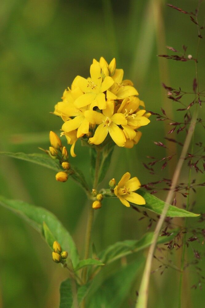 Фотография автора Геннадий Титов