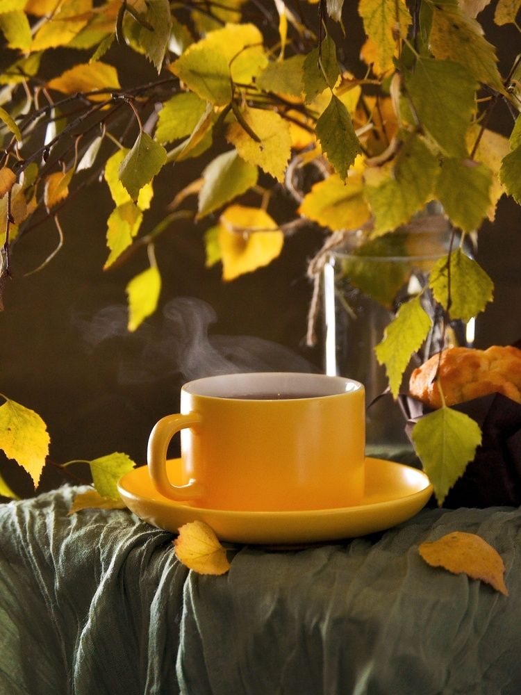 Photograph by Marina Gritchina