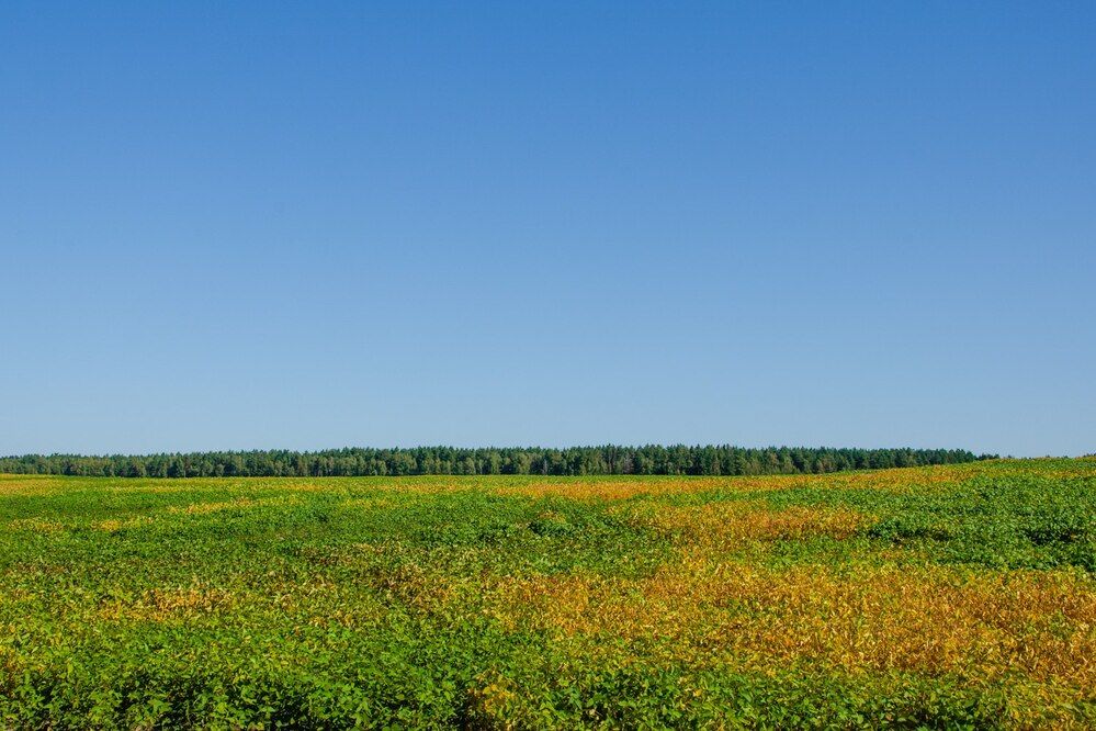 Photograph by Галина Ложечникова