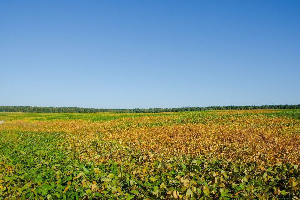 Photograph by Галина Ложечникова