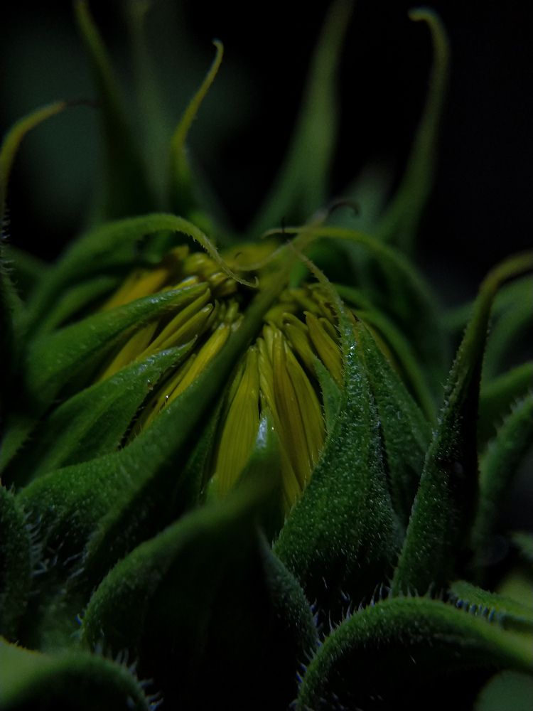 Фотография автора Наталья Алексеева