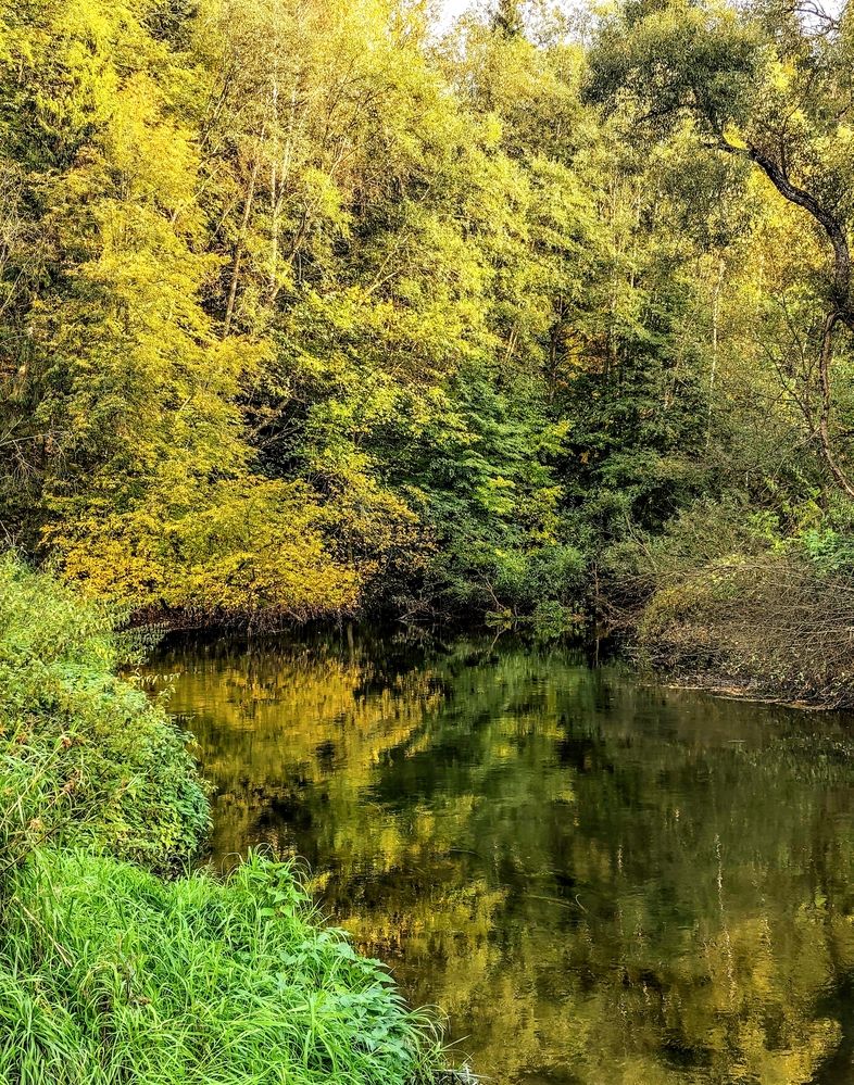 Photograph by Марина Бедрина