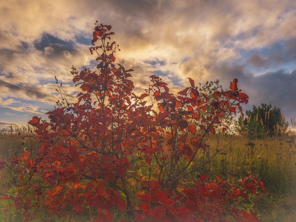 Photograph by Кирилл Сидоров