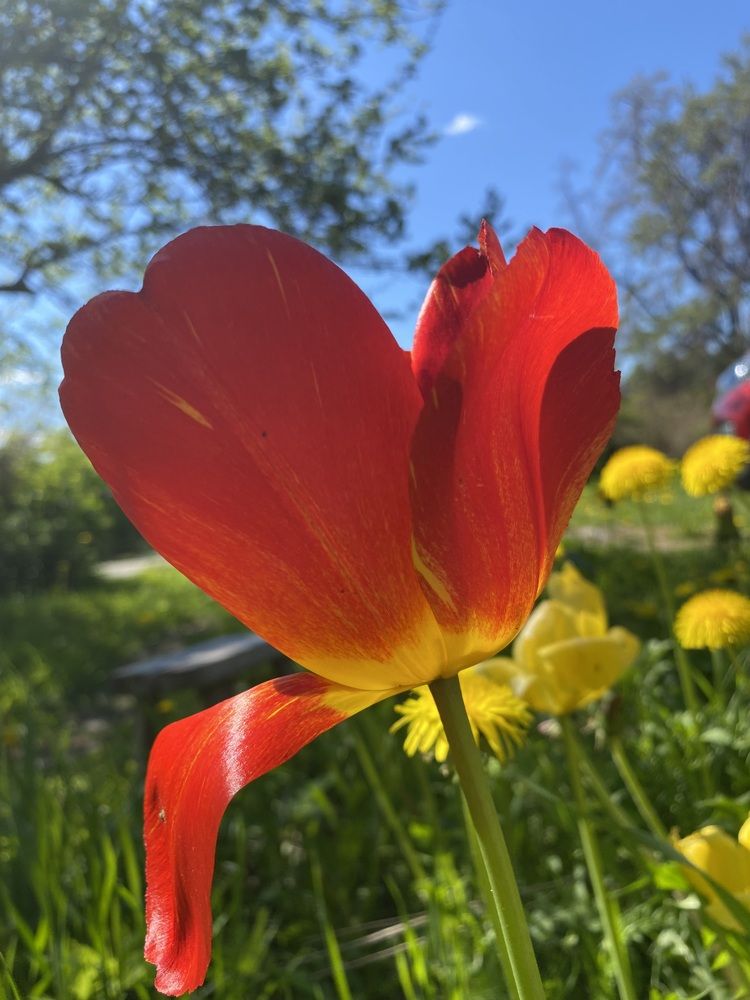 Photograph by Галина Чернякова