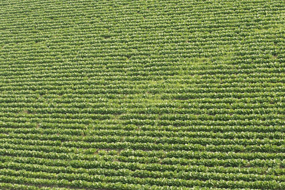 Photograph by Вячеслав Ват