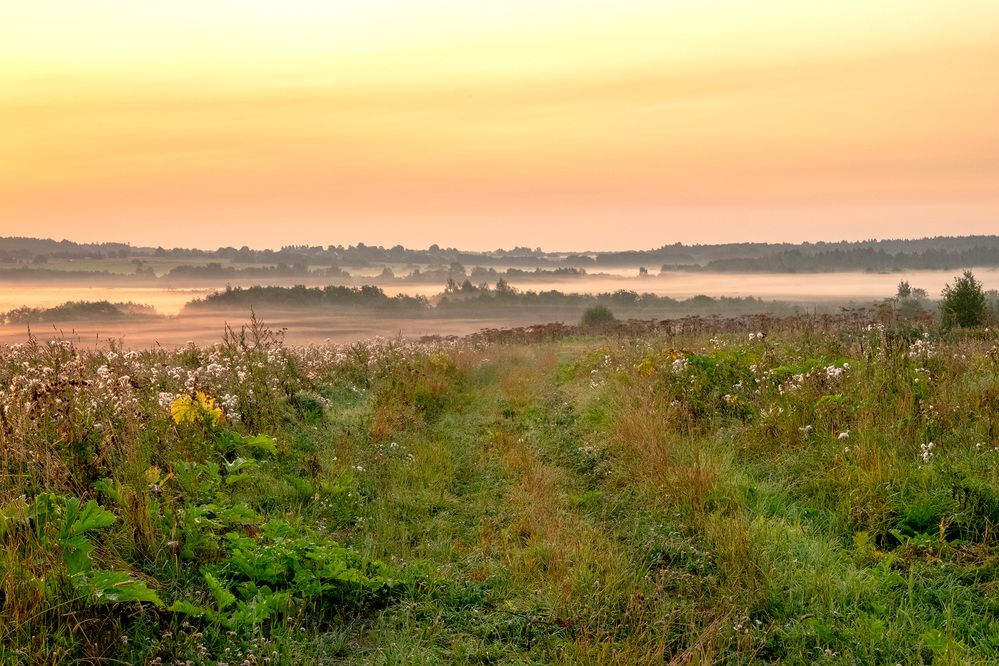 Фотография автора Наталья Липовская