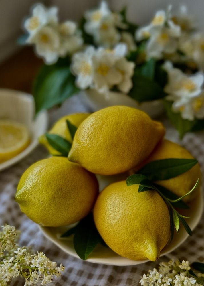 Photograph by Алена Ходатович