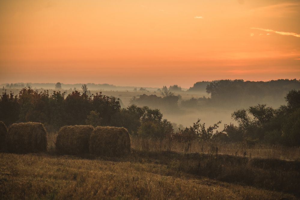 Photograph by Tatiana Shtun