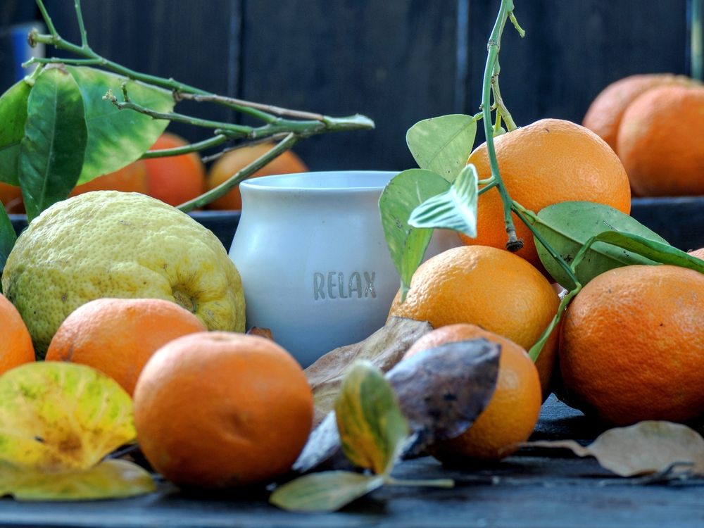 Photograph by Lev Tsenter